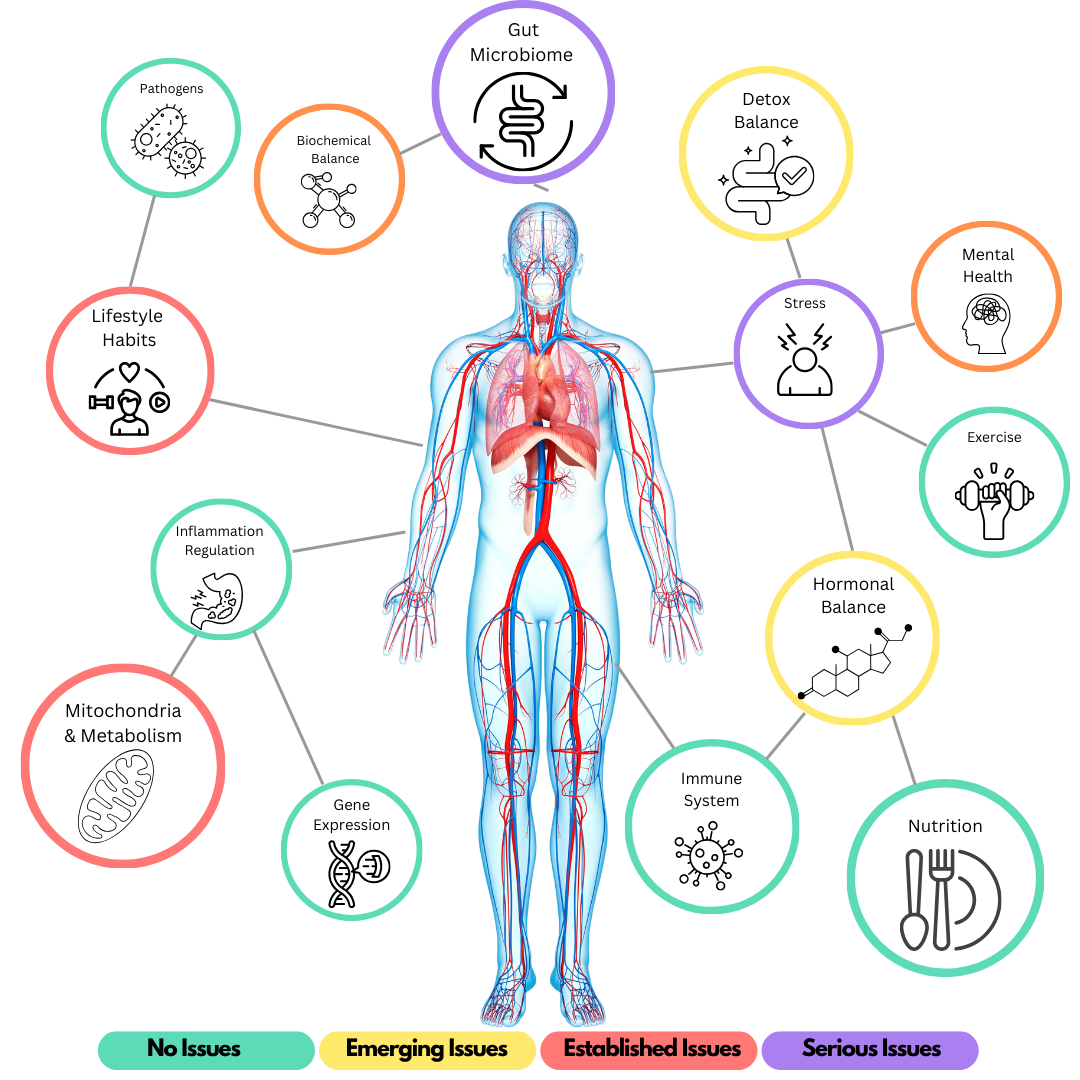 SPA Health Assessment